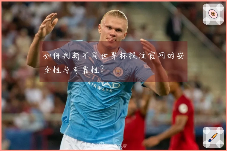 如何判断不同世界杯投注官网的安全性与可靠性？