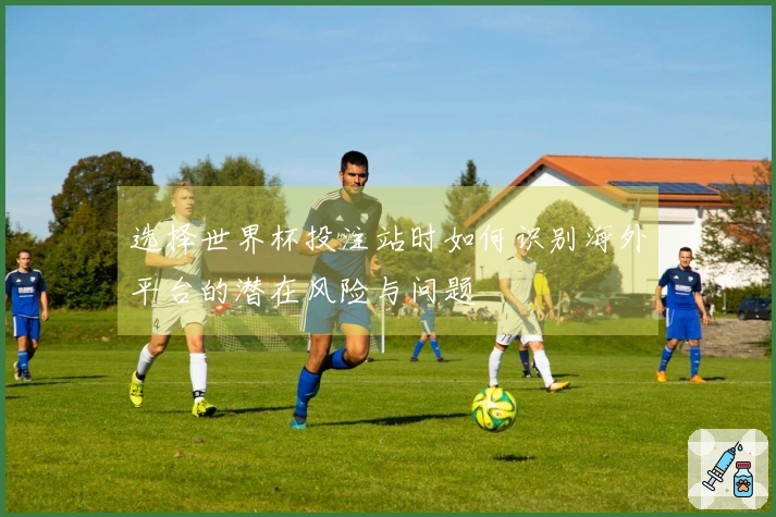 选择世界杯投注站时如何识别海外平台的潜在风险与问题