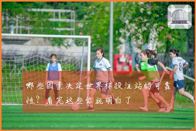 哪些因素决定世界杯投注站的可靠性？看完这些你就明白了