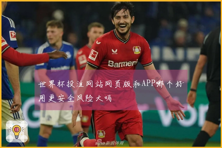 世界杯投注网站网页版和APP哪个好用更安全风险大吗