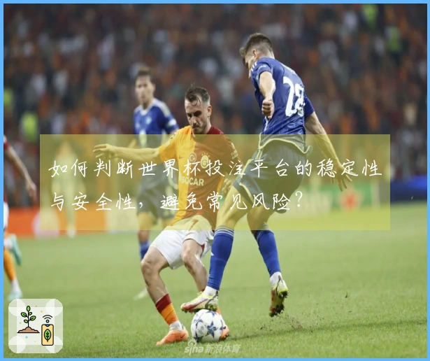 如何判断世界杯投注平台的稳定性与安全性，避免常见风险？