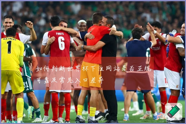 如何判断世界杯下注网站是否正规可靠及常见入口差异