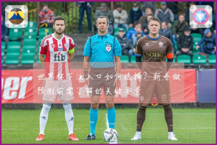 世界杯下注入口如何选择？新手做预测前需了解的关键要素