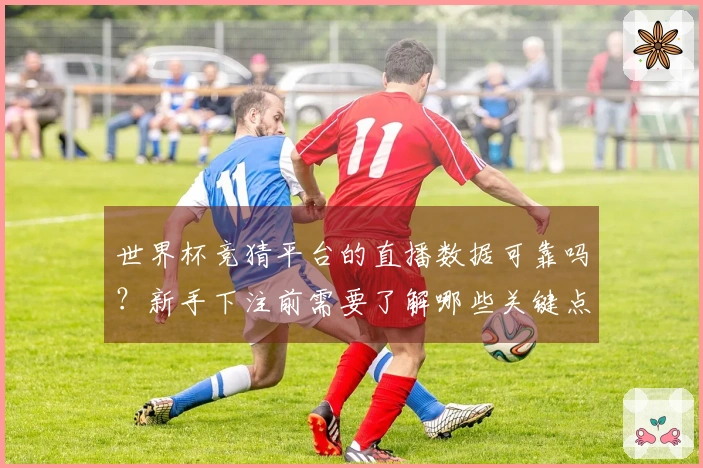 世界杯竞猜平台的直播数据可靠吗？新手下注前需要了解哪些关键点