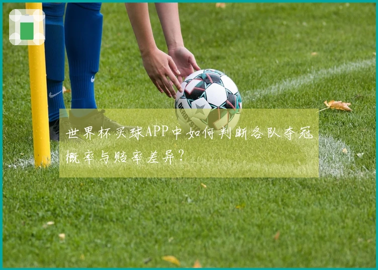 世界杯买球APP中如何判断各队夺冠概率与赔率差异？