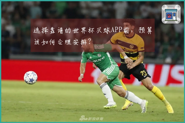 选择靠谱的世界杯买球APP前，预算该如何合理安排？