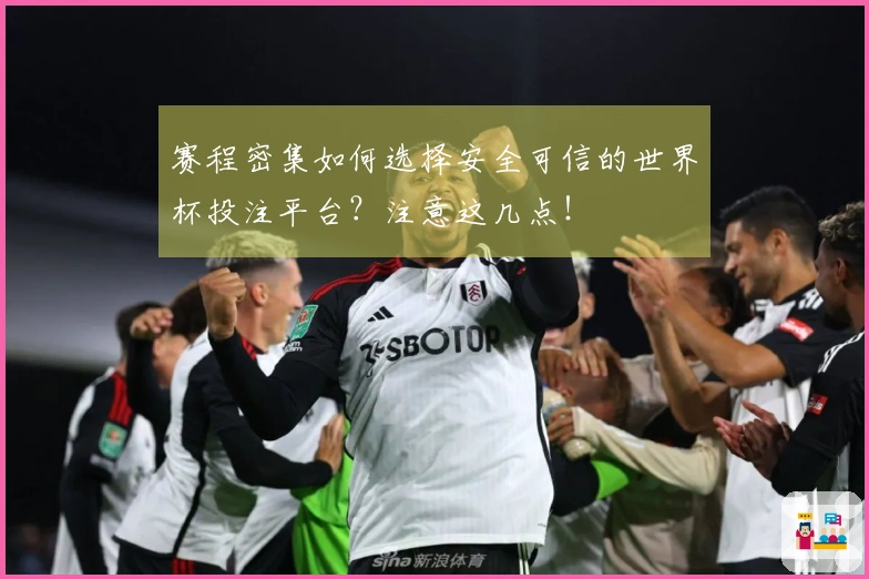 赛程密集如何选择安全可信的世界杯投注平台？注意这几点！
