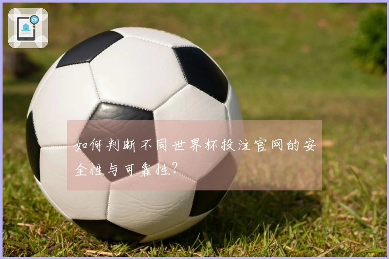 如何判断不同世界杯投注官网的安全性与可靠性？