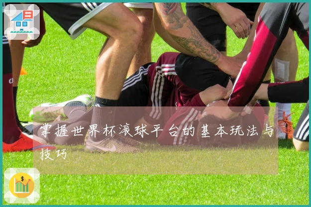 掌握世界杯滚球平台的基本玩法与技巧