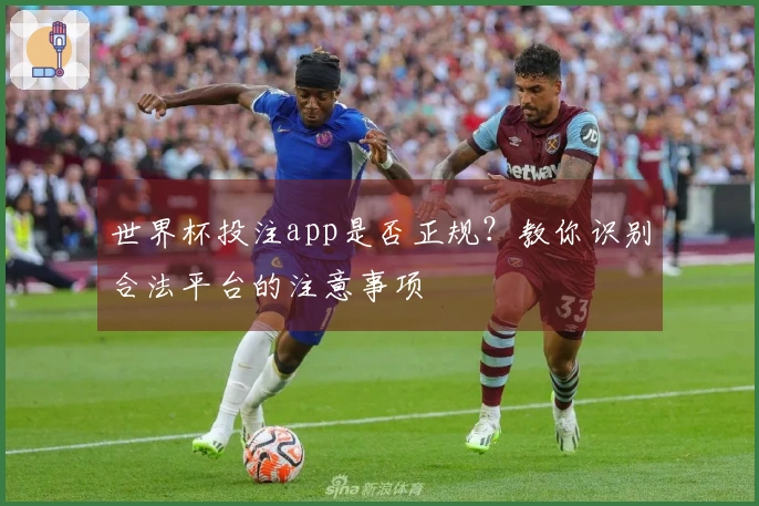 世界杯投注app是否正规？教你识别合法平台的注意事项