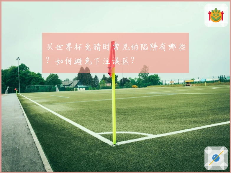 买世界杯竞猜时常见的陷阱有哪些？如何避免下注误区？