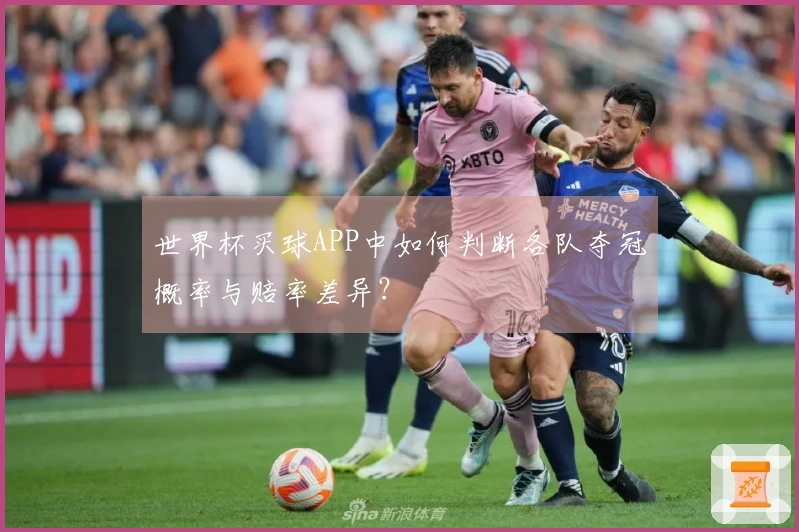 世界杯买球APP中如何判断各队夺冠概率与赔率差异？