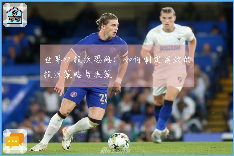 世界杯投注思路：如何制定高效的投注策略与决策