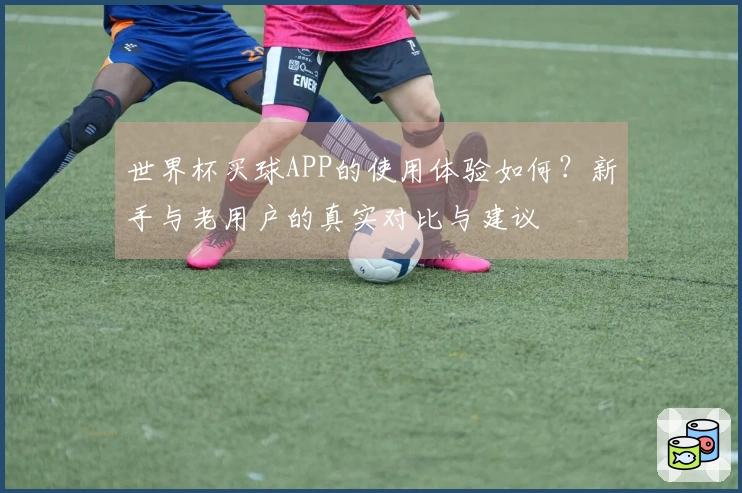 世界杯买球APP的使用体验如何？新手与老用户的真实对比与建议