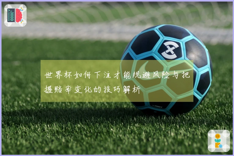 世界杯如何下注才能规避风险与把握赔率变化的技巧解析