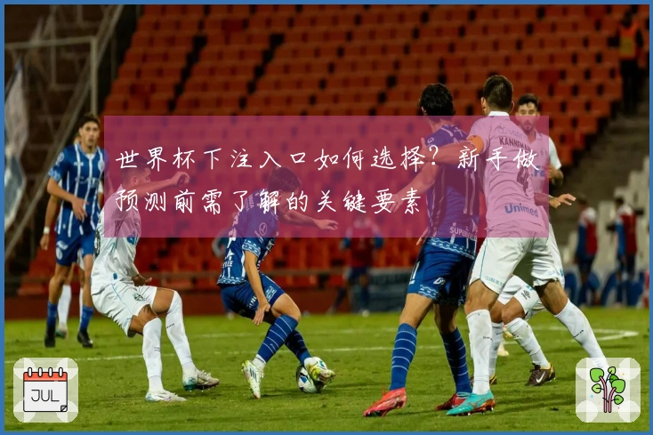 世界杯下注入口如何选择？新手做预测前需了解的关键要素