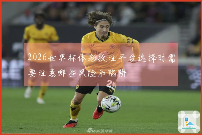 2026世界杯体彩投注平台选择时需要注意哪些风险和陷阱