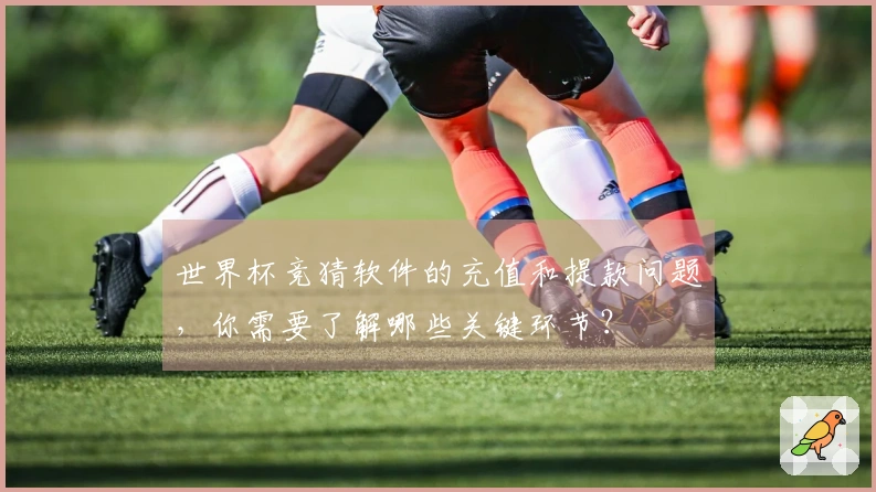 世界杯竞猜软件的充值和提款问题，你需要了解哪些关键环节？