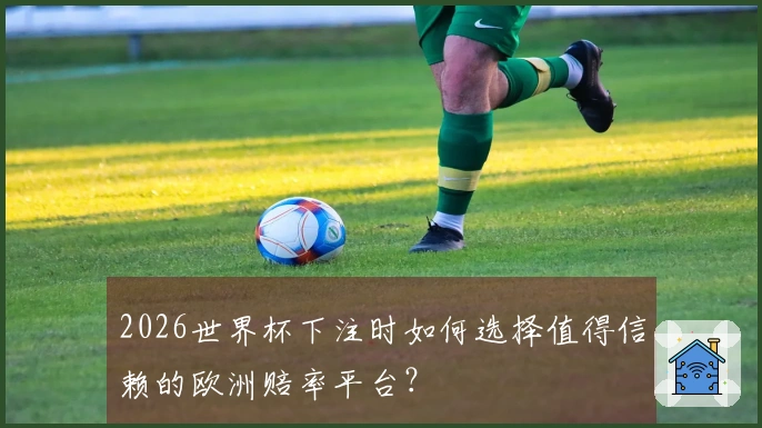 2026世界杯下注时如何选择值得信赖的欧洲赔率平台？