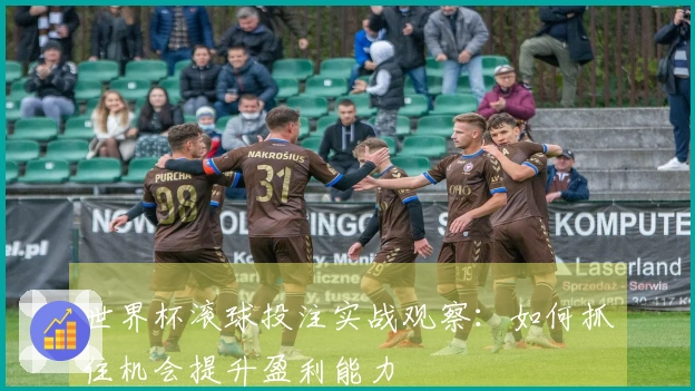 世界杯滚球投注实战观察：如何抓住机会提升盈利能力