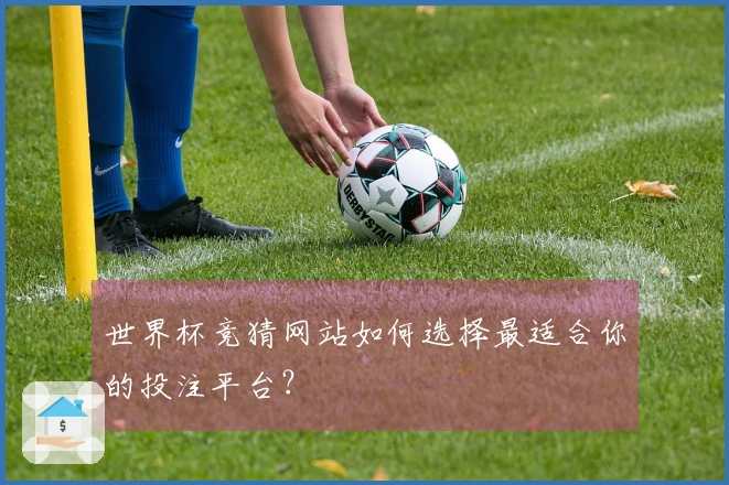 世界杯竞猜网站如何选择最适合你的投注平台？