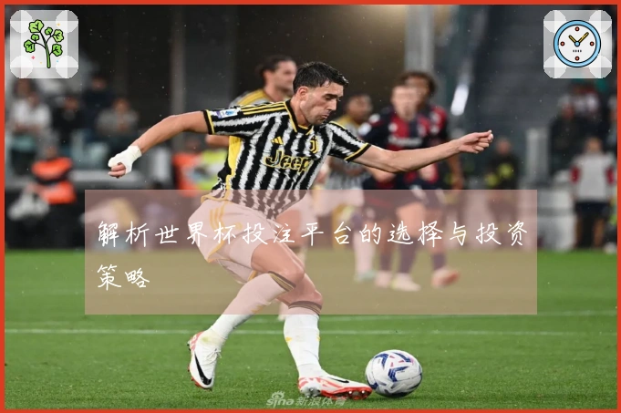 解析世界杯投注平台的选择与投资策略