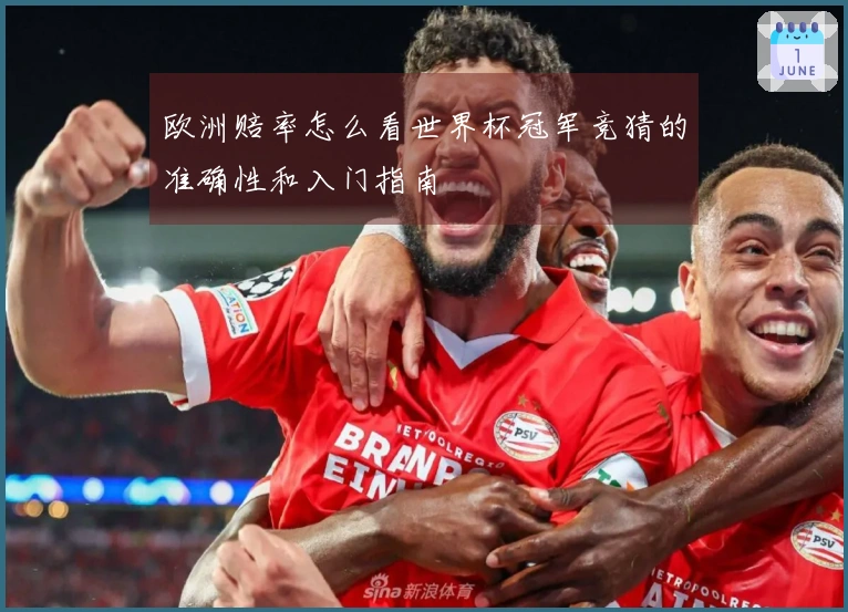 欧洲赔率怎么看世界杯冠军竞猜的准确性和入门指南