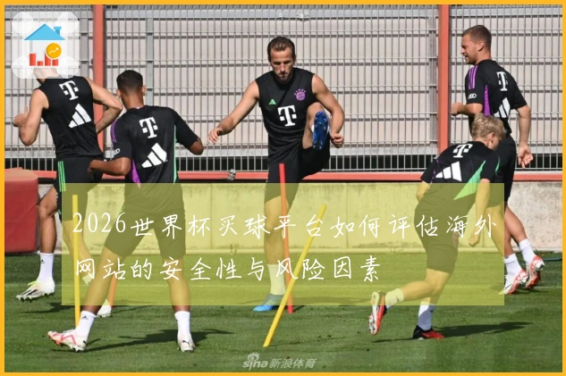 2026世界杯买球平台如何评估海外网站的安全性与风险因素