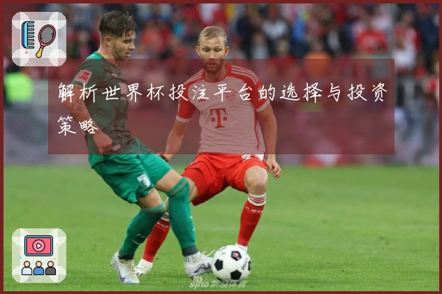 解析世界杯投注平台的选择与投资策略