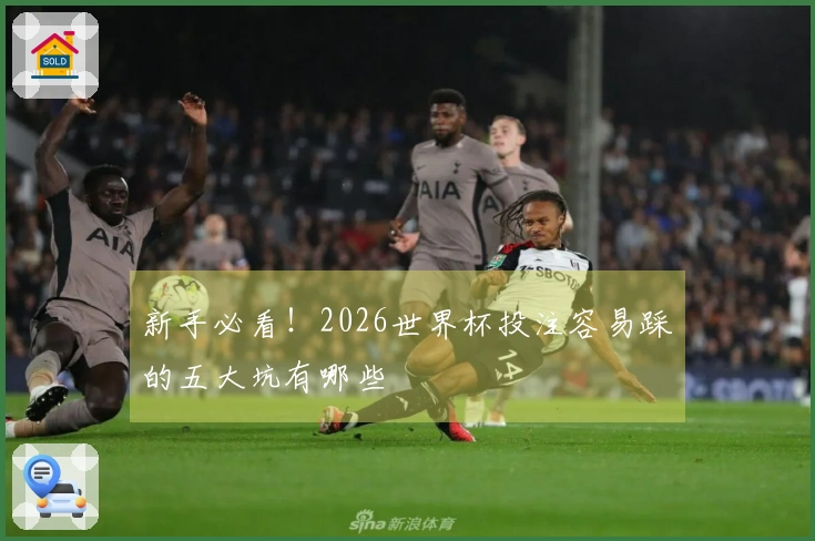 新手必看！2026世界杯投注容易踩的五大坑有哪些